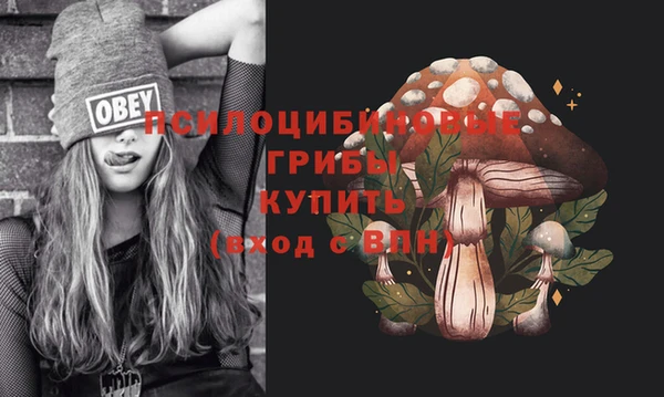 МДПВ Богородицк